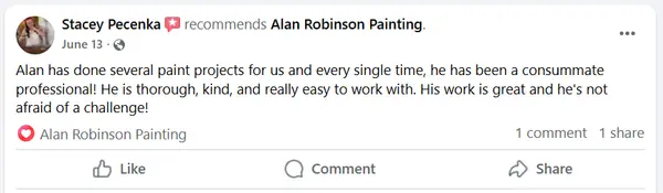 Verified five-star review for Alan Robinson Painting — screenshot 3